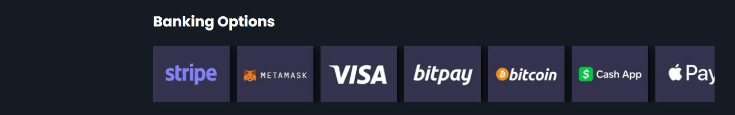 Striben "Banking Options" på rocky.casino: en række betalingslogoer uden tekst under overskriften